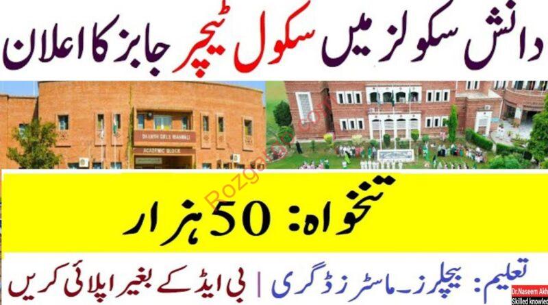 Latest Punjab DAANISH School Jobs in Rahim YAR Khan  2024:-